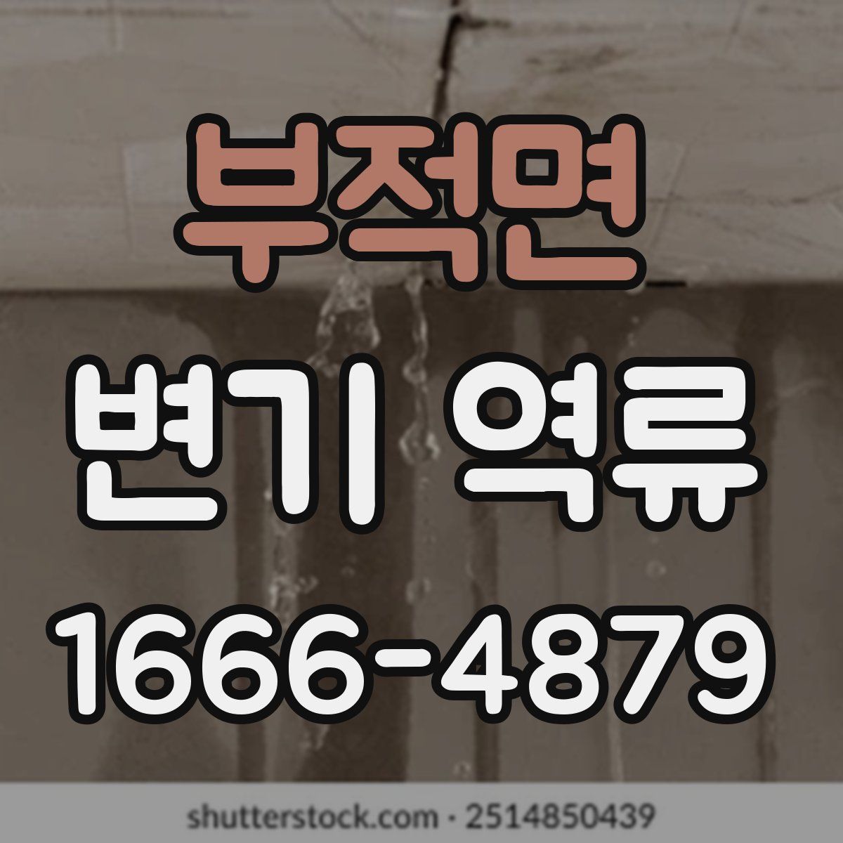 부적면 변기 역류