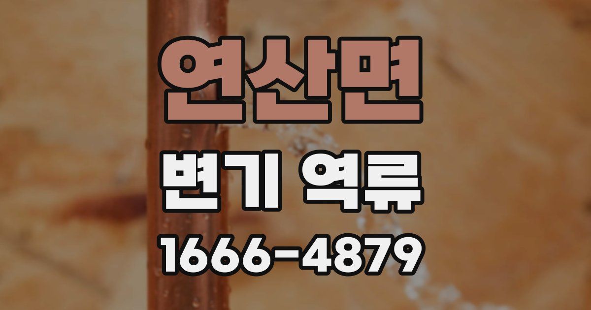 연산면 변기 역류