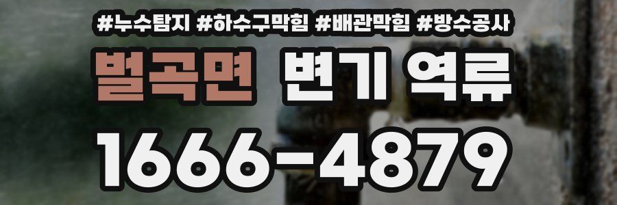 벌곡면 변기 역류
