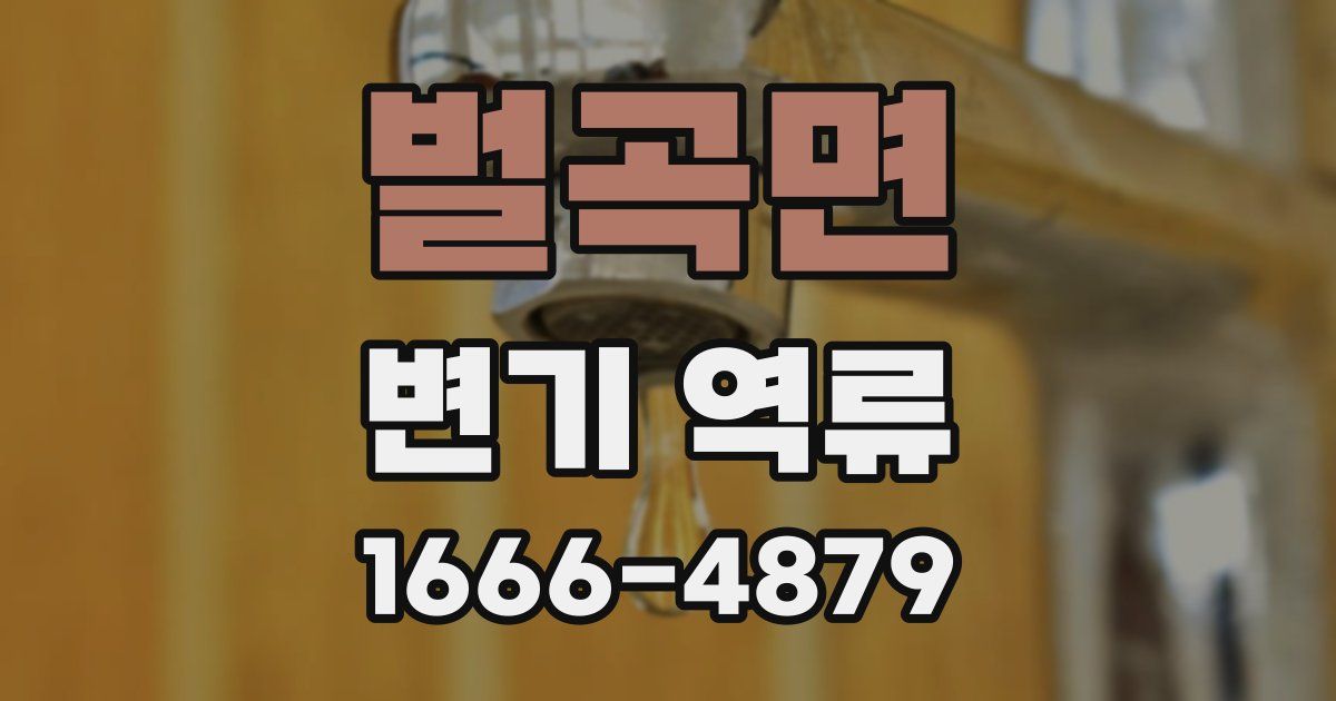 벌곡면 변기 역류
