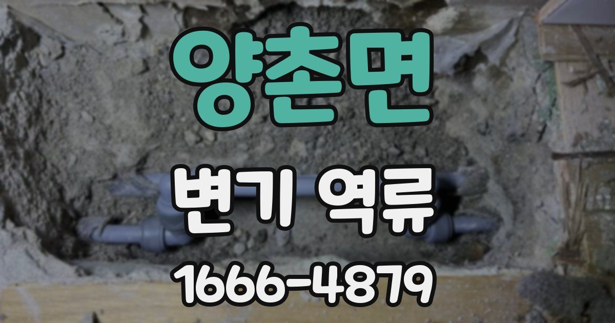 양촌면 변기 역류