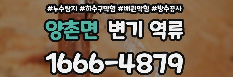 양촌면 변기 역류