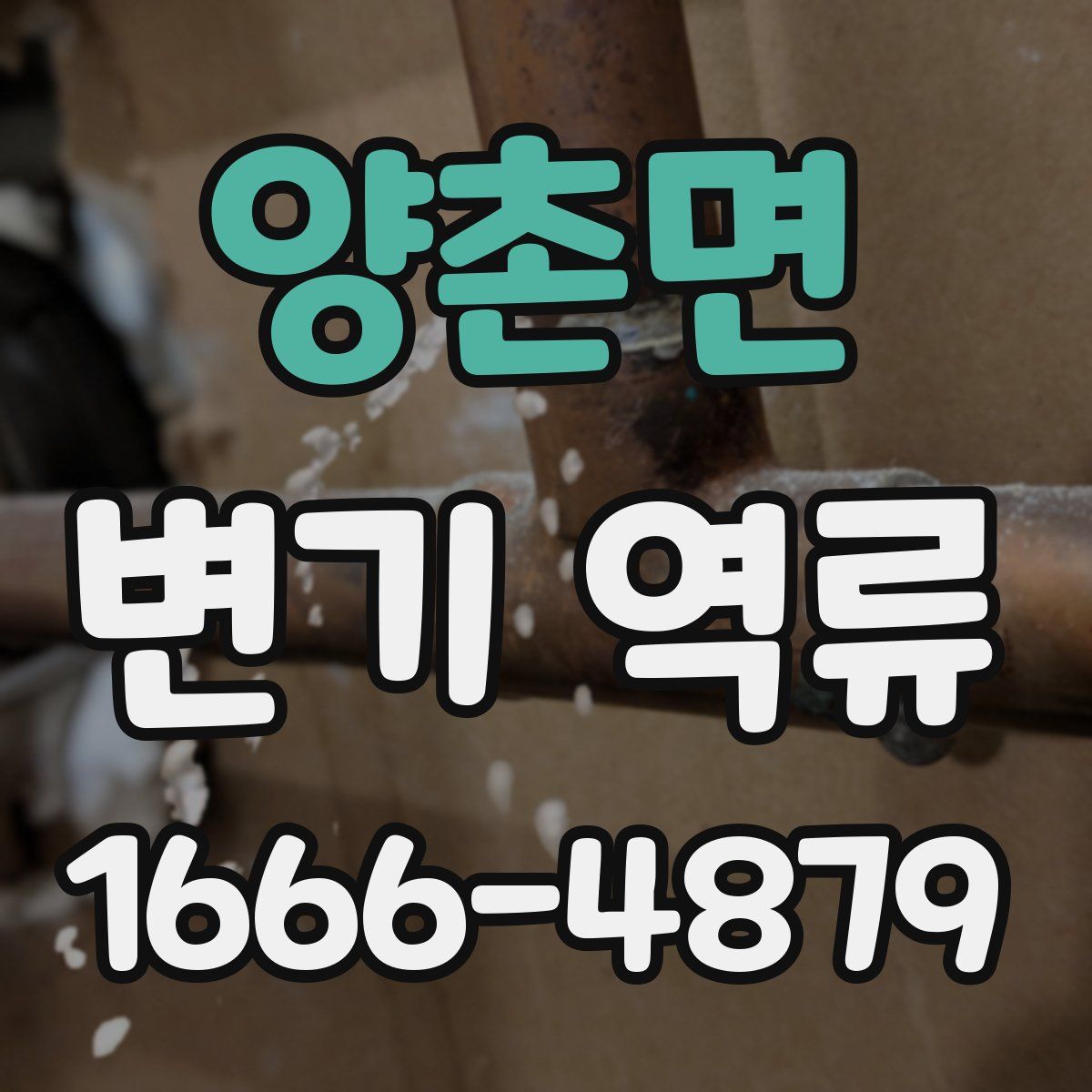 양촌면 변기 역류