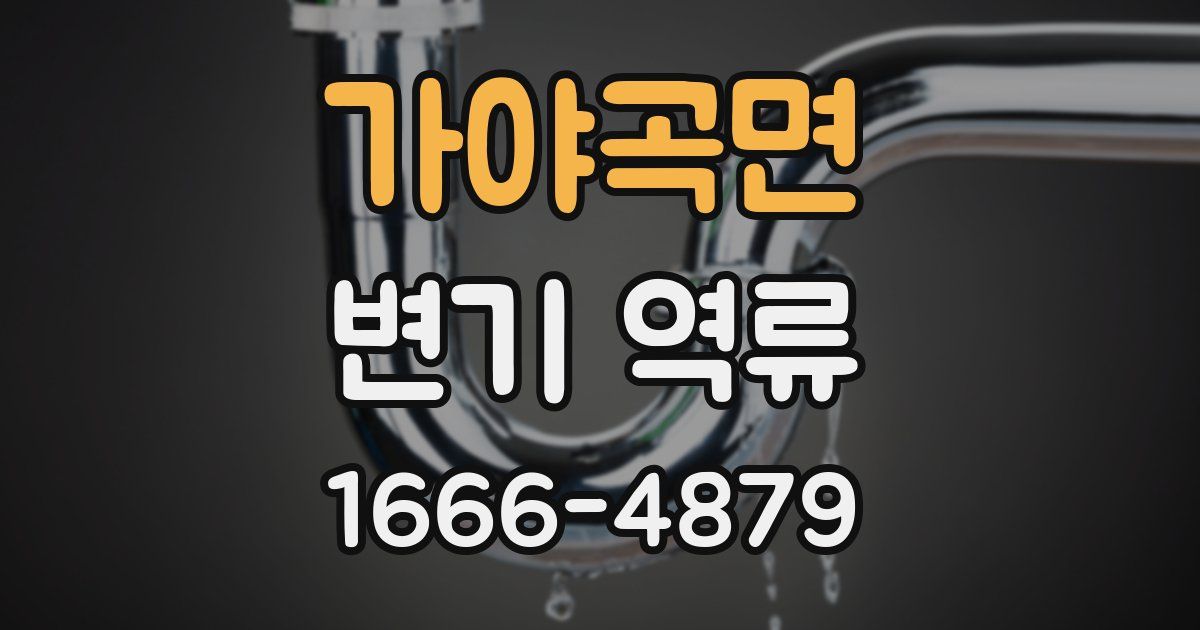 가야곡면 변기 역류
