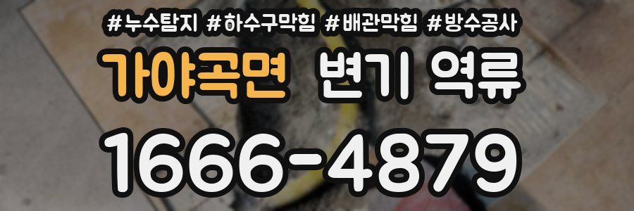 가야곡면 변기 역류