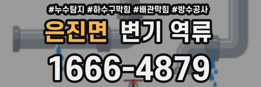 은진면 변기 역류