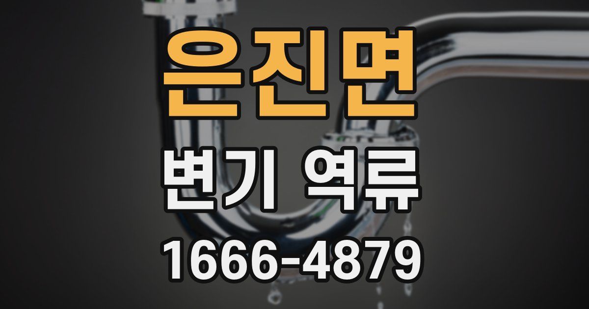 은진면 변기 역류