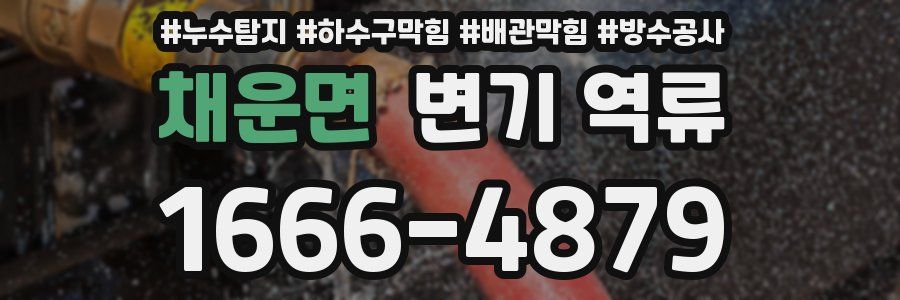 채운면 변기 역류