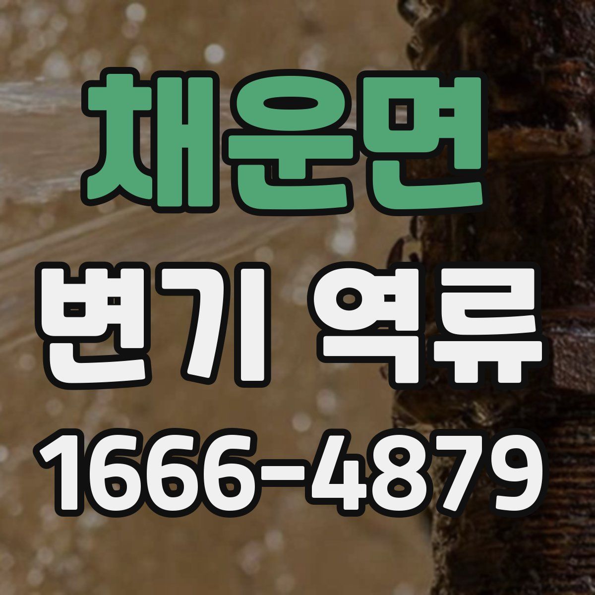 채운면 변기 역류