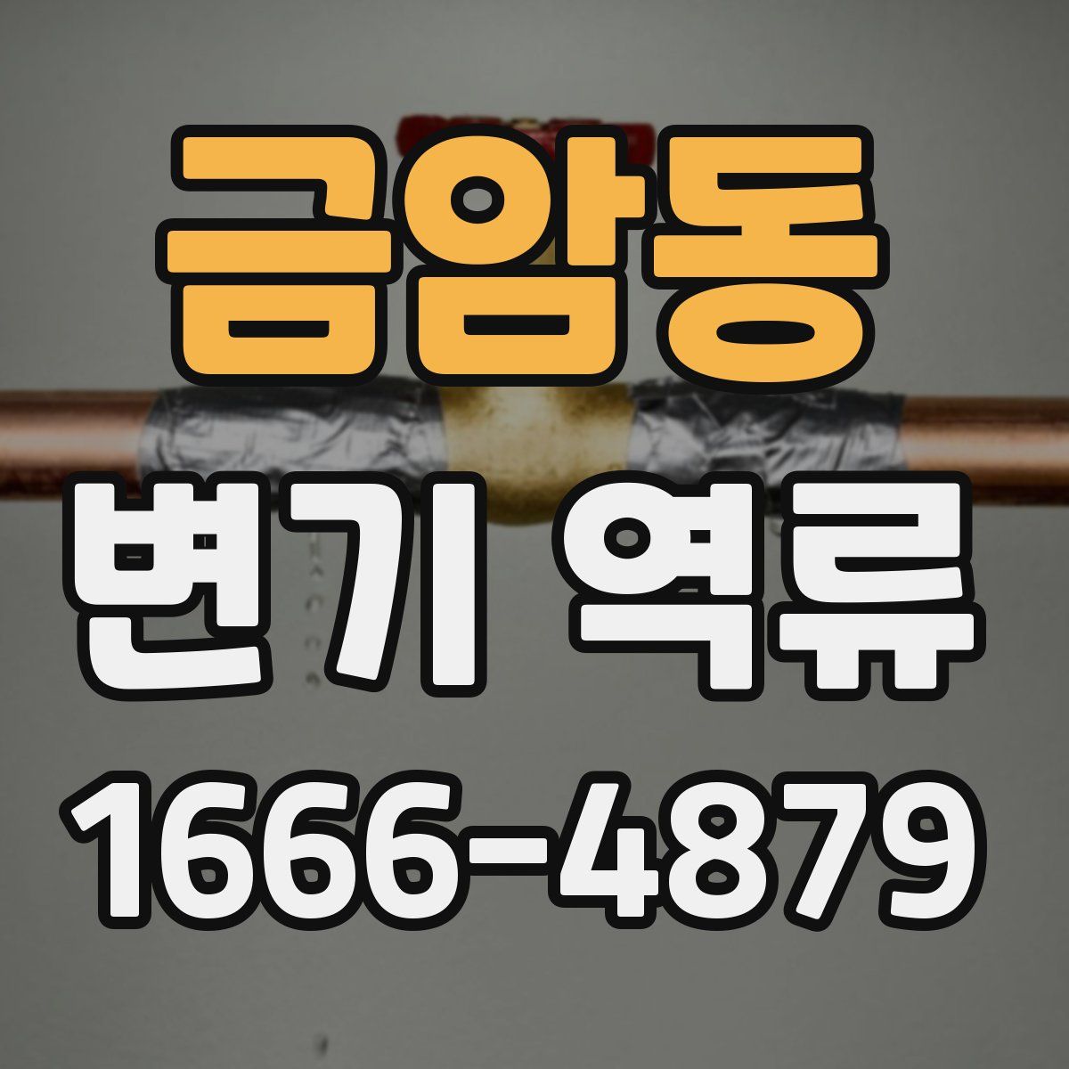 금암동 변기 역류