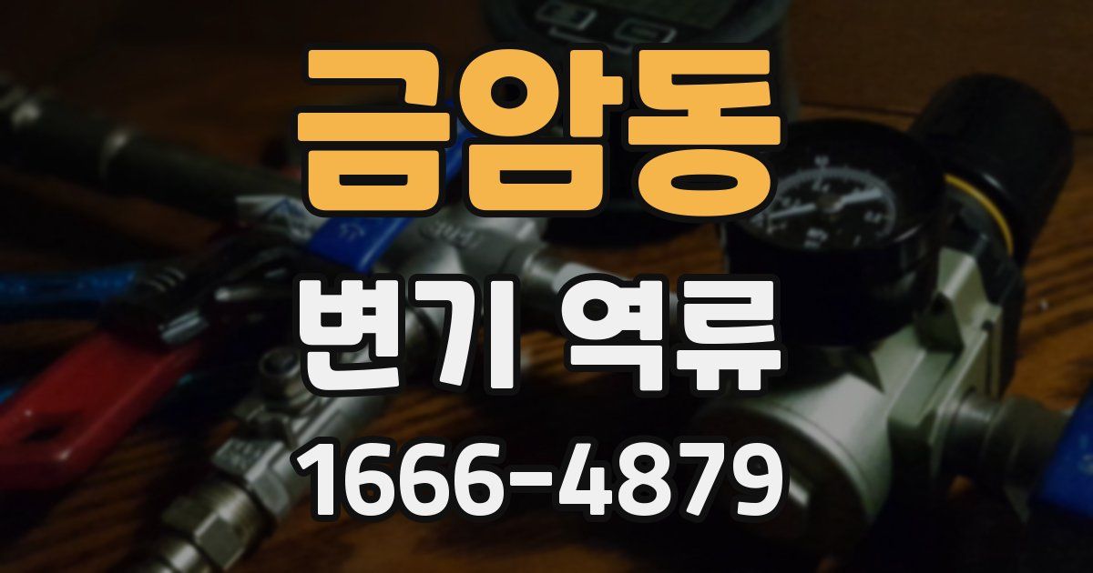 금암동 변기 역류