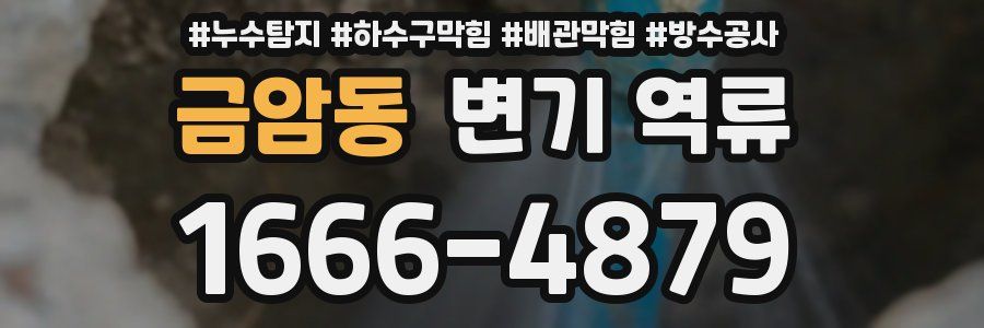 금암동 변기 역류