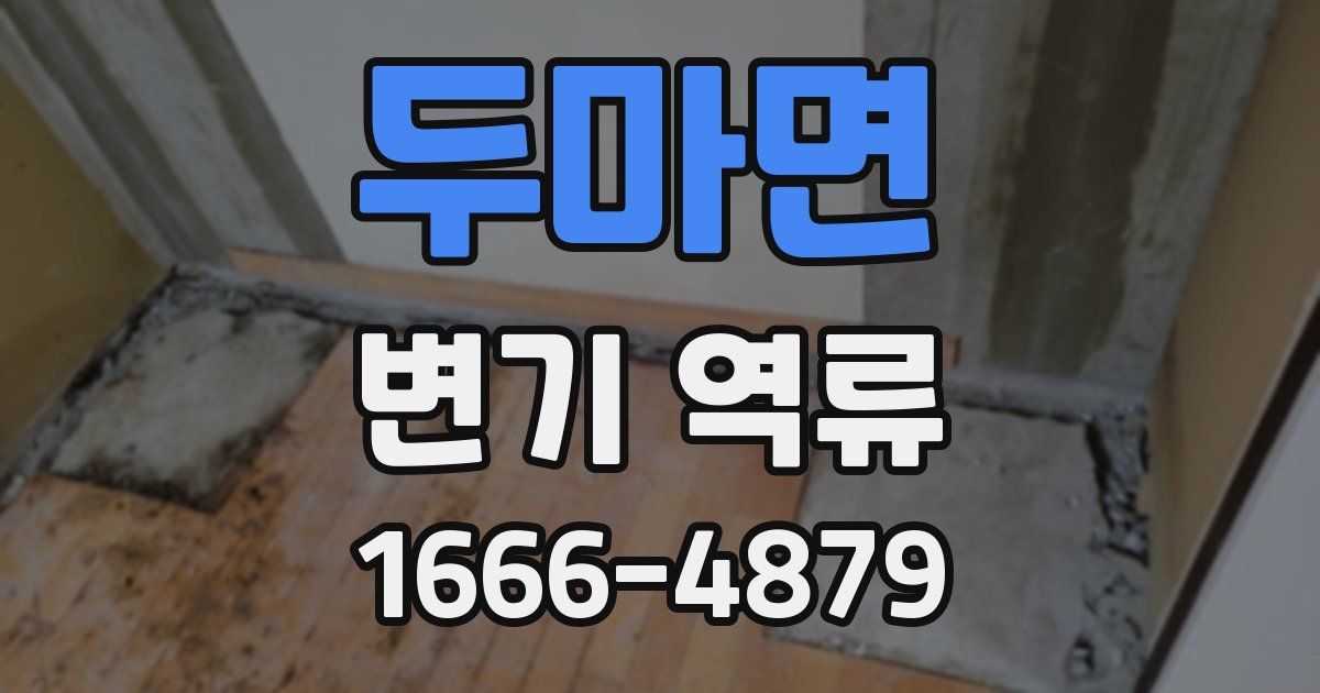 두마면 변기 역류