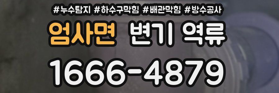 엄사면 변기 역류