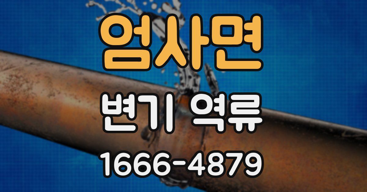 엄사면 변기 역류