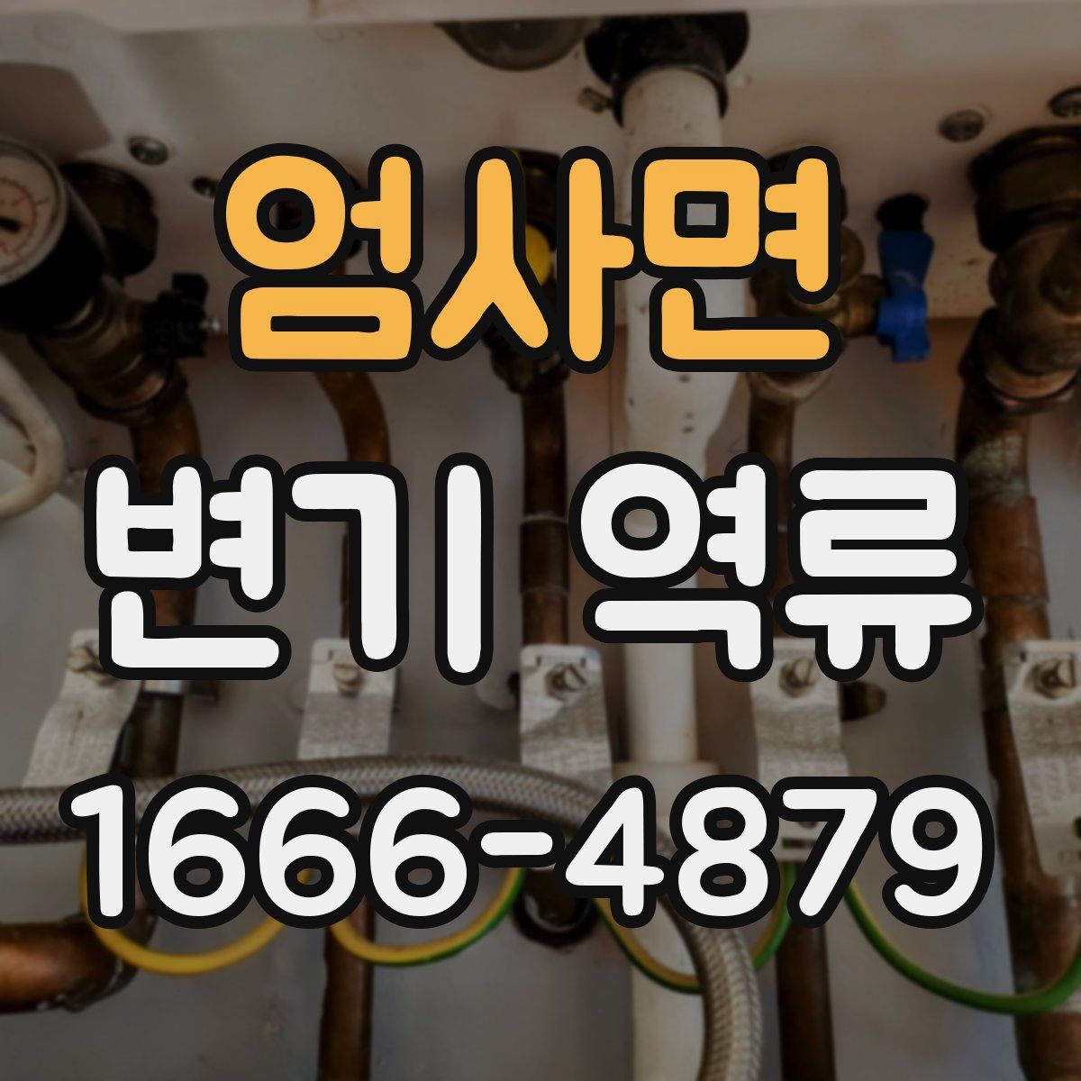 엄사면 변기 역류