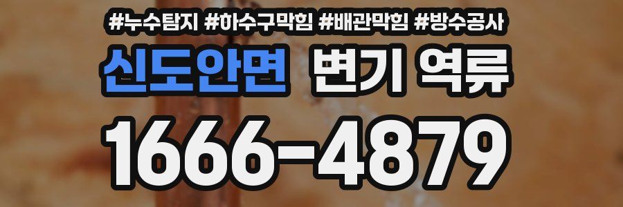 신도안면 변기 역류