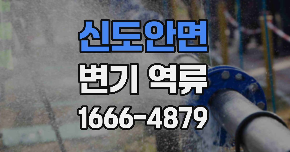 신도안면 변기 역류