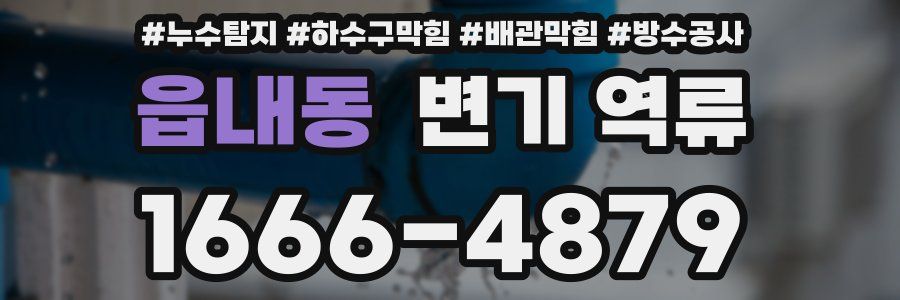 읍내동 변기 역류