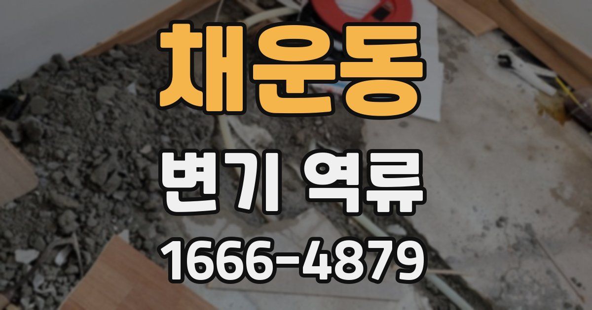 채운동 변기 역류