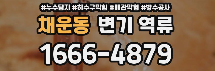 채운동 변기 역류