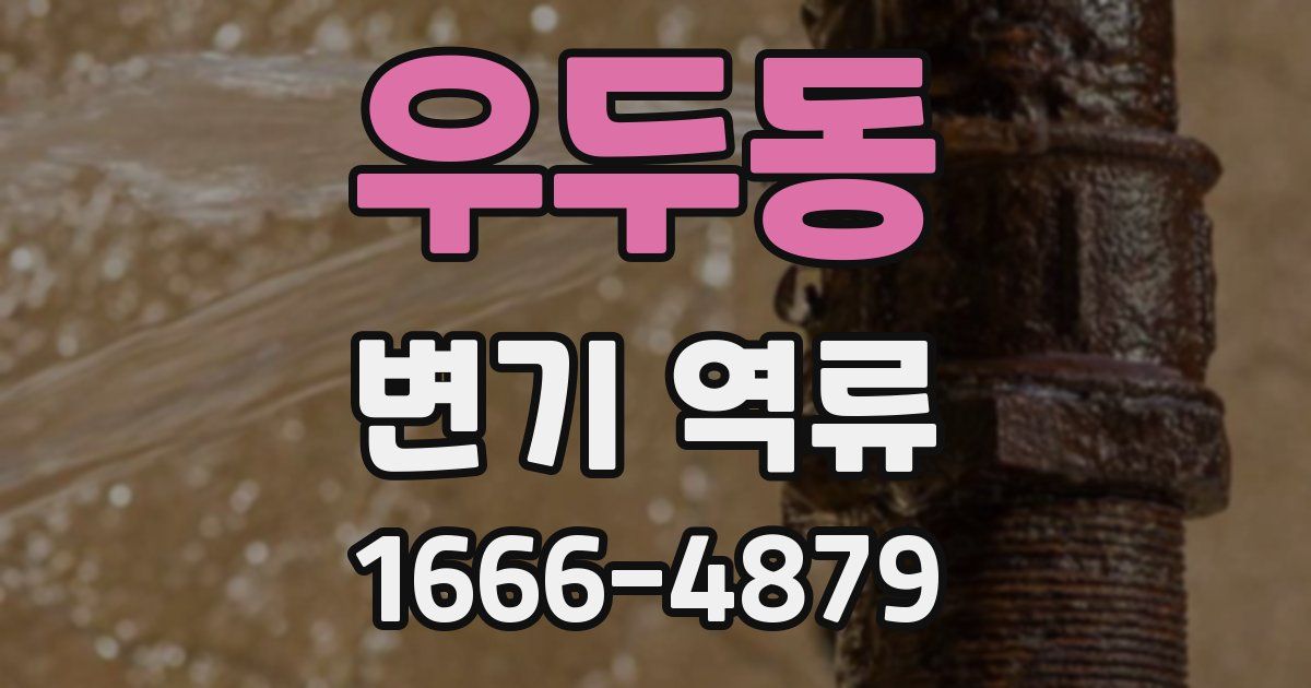 우두동 변기 역류