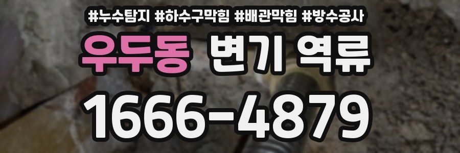 우두동 변기 역류