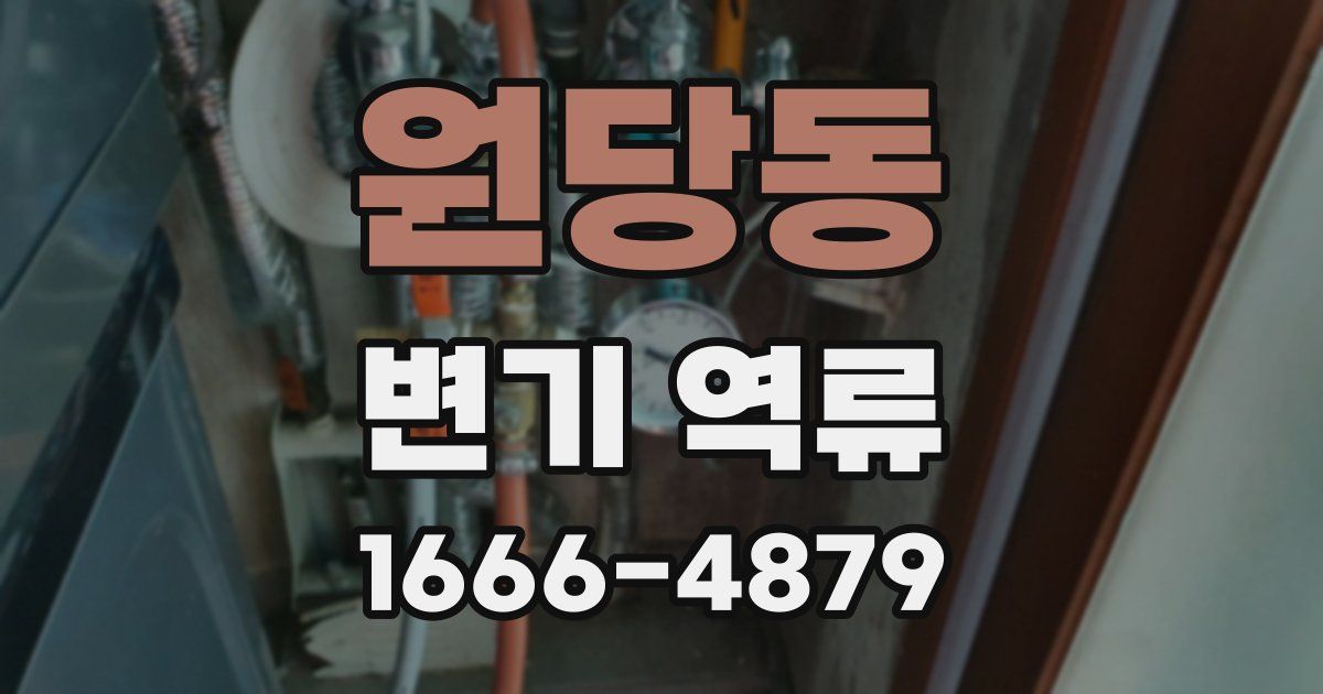 원당동 변기 역류