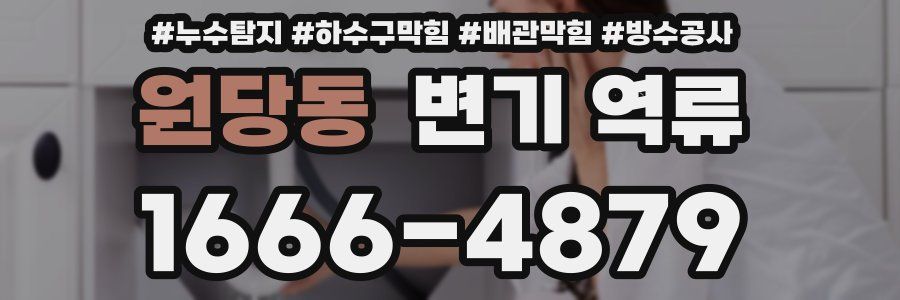 원당동 변기 역류