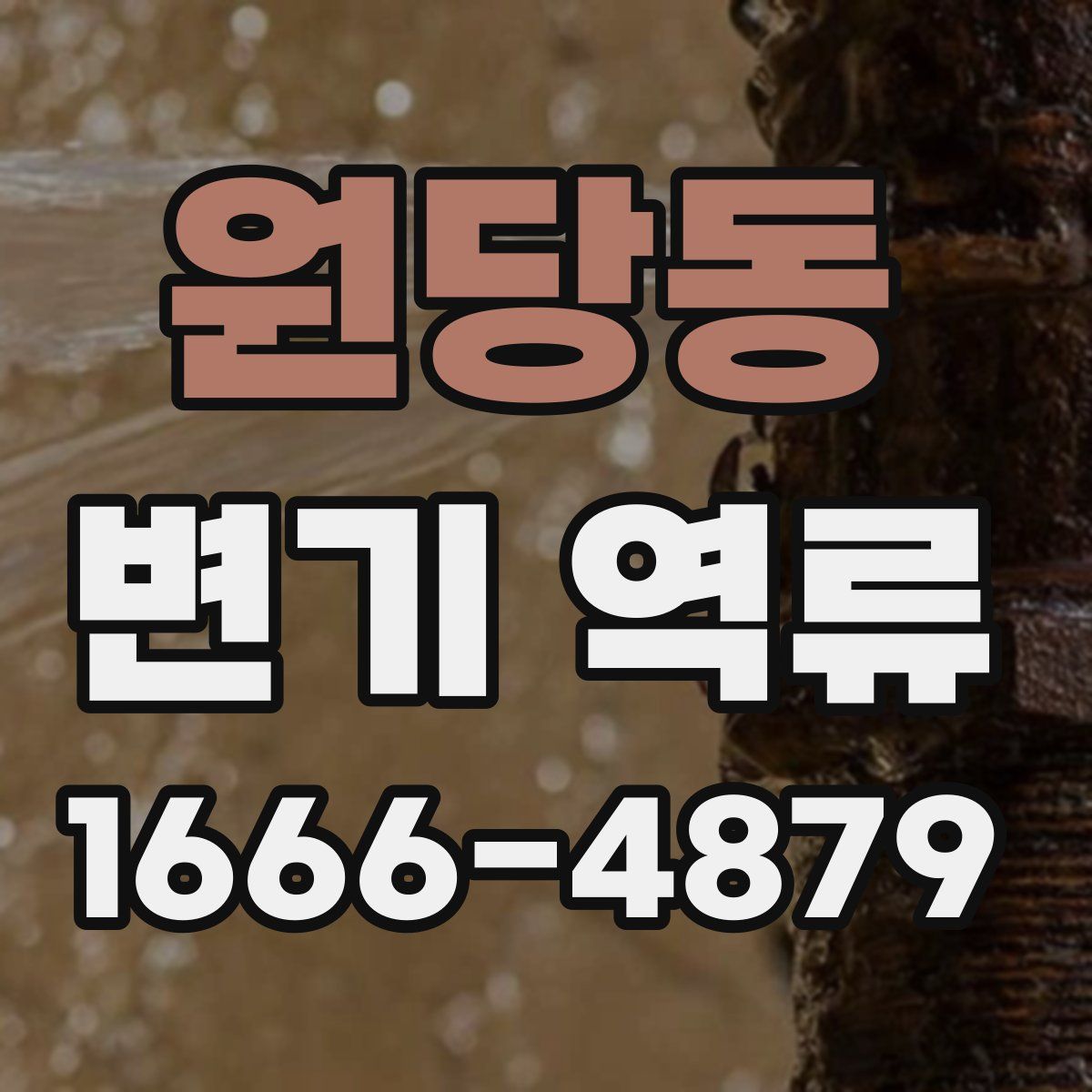 원당동 변기 역류