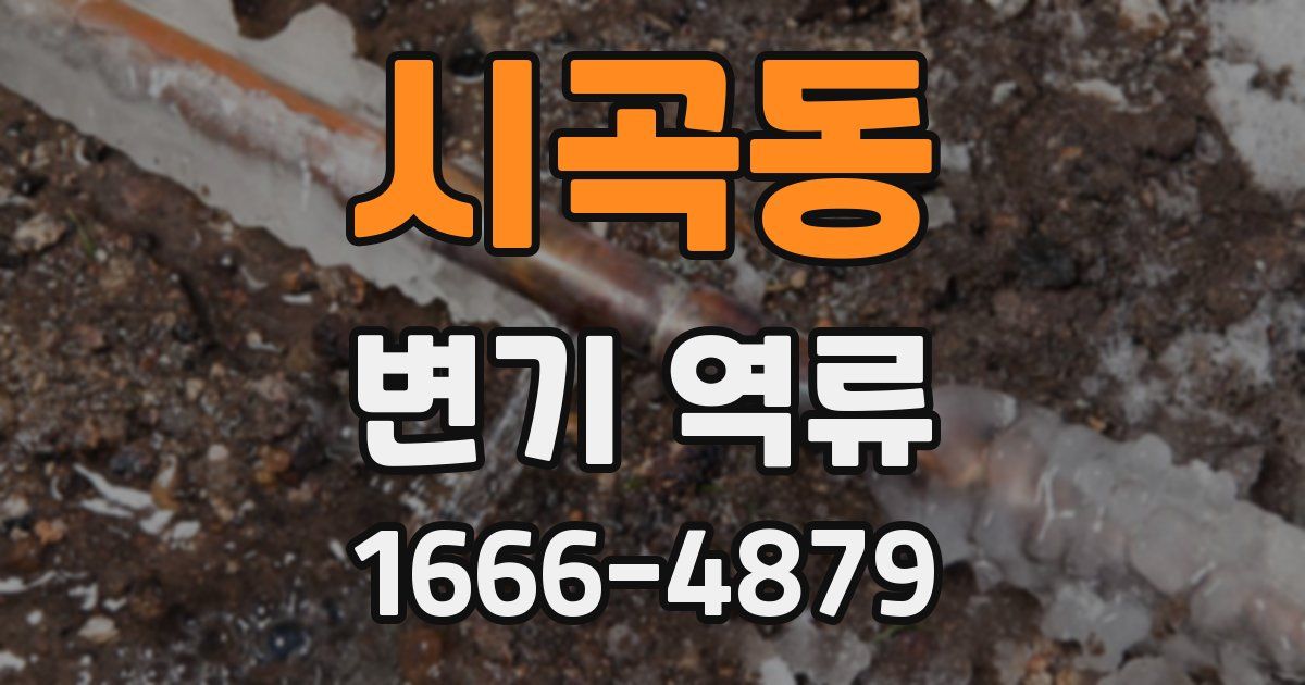 시곡동 변기 역류