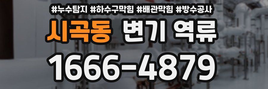 시곡동 변기 역류