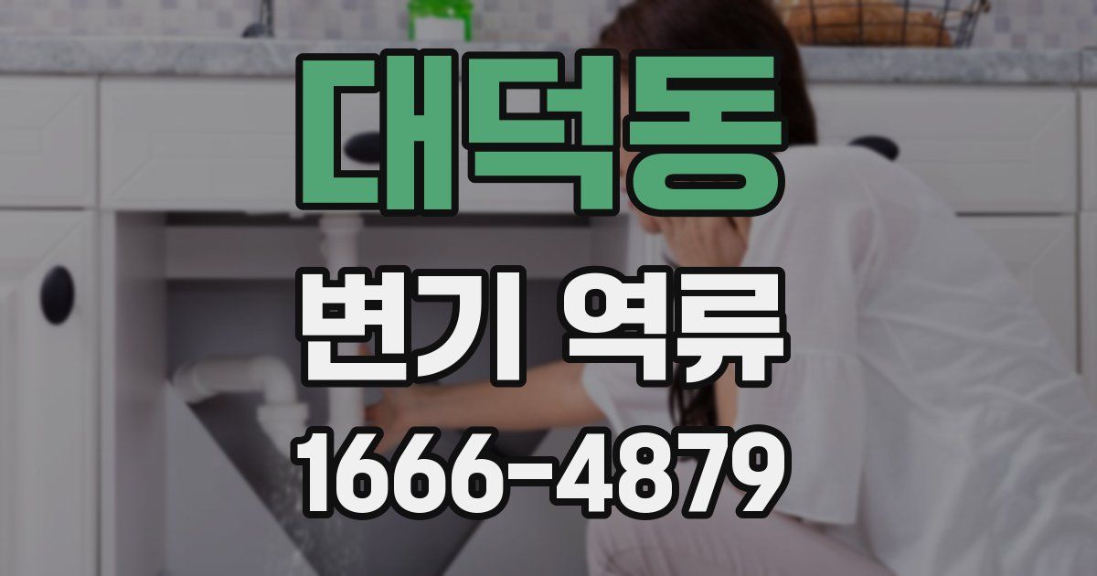 대덕동 변기 역류