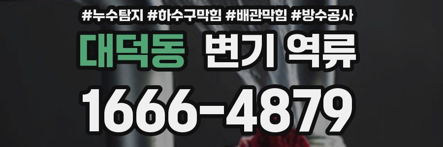 대덕동 변기 역류