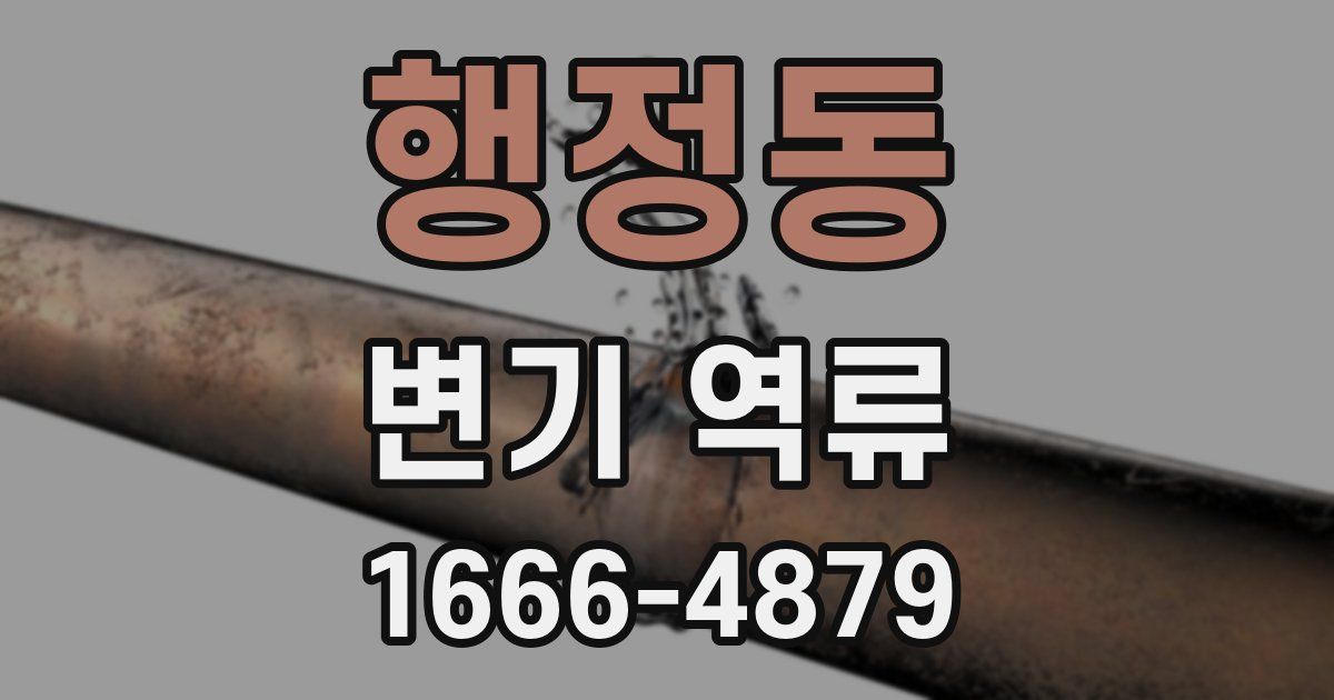 행정동 변기 역류