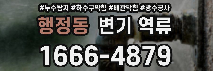 행정동 변기 역류