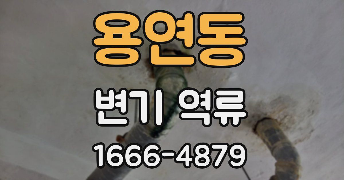 용연동 변기 역류
