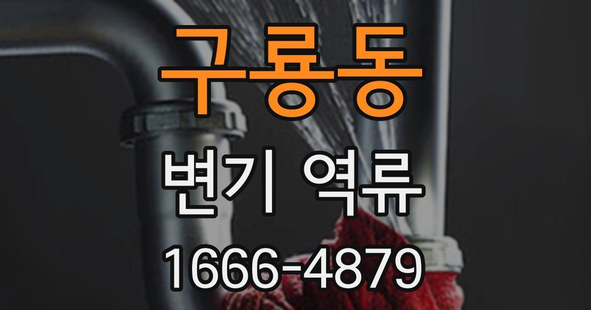 구룡동 변기 역류