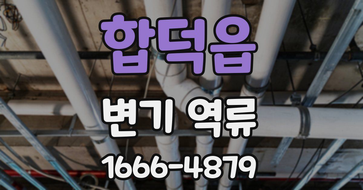 합덕읍 변기 역류