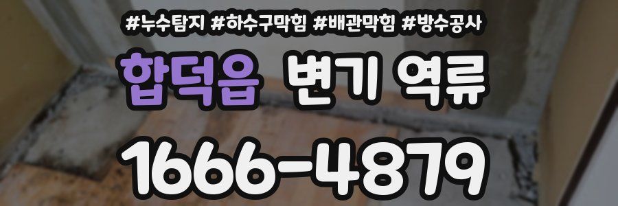 합덕읍 변기 역류