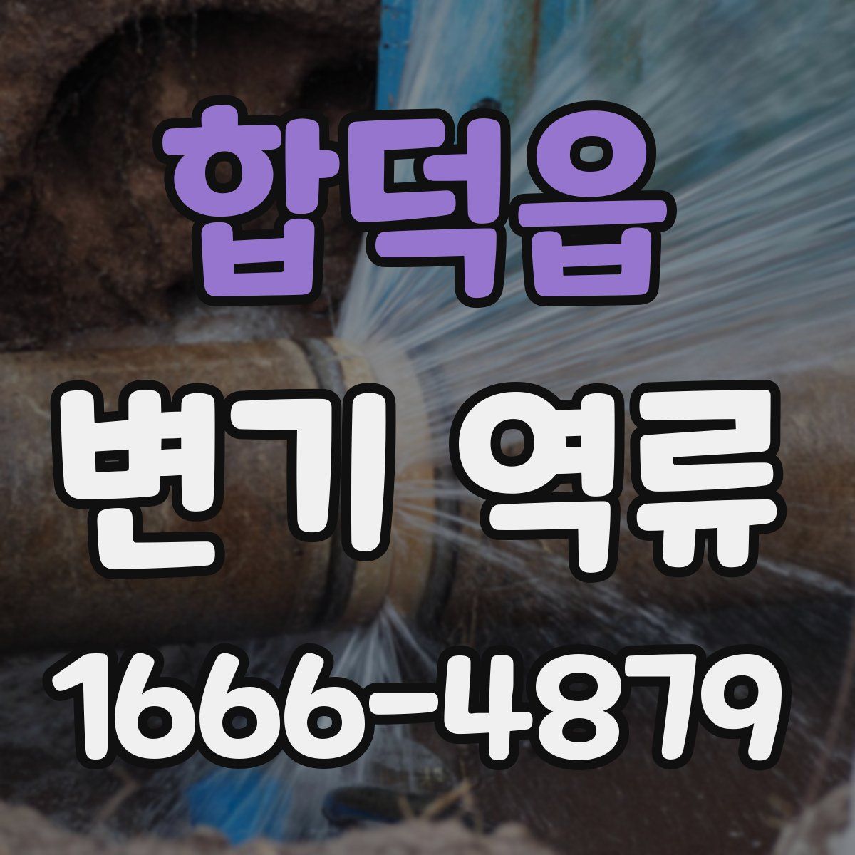 합덕읍 변기 역류