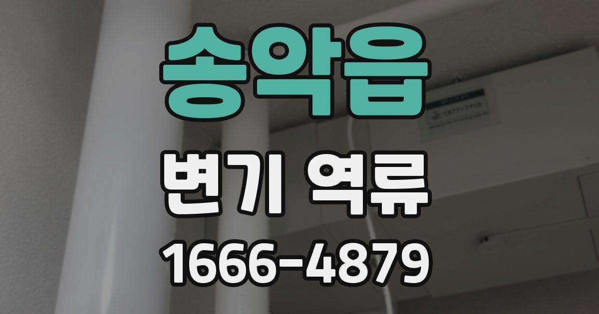 송악읍 변기 역류