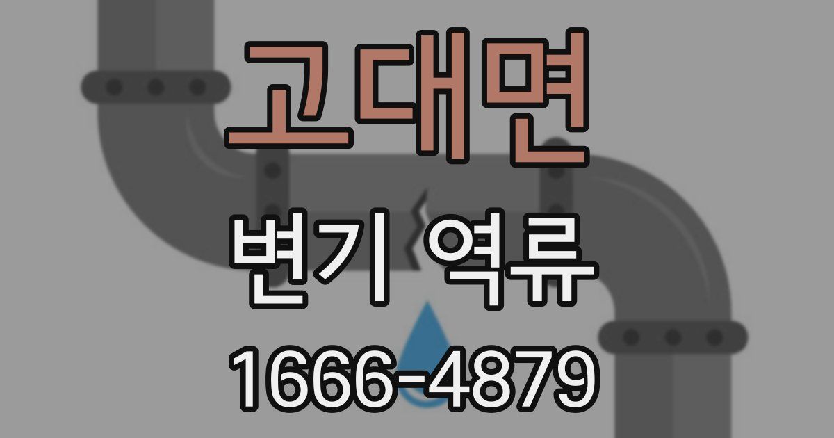 고대면 변기 역류