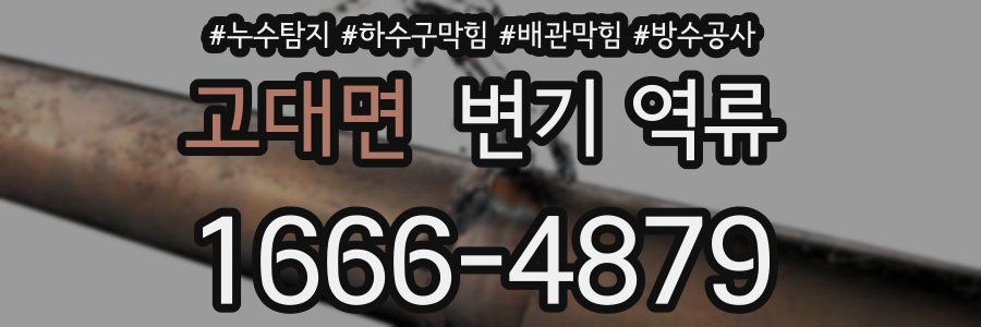 고대면 변기 역류