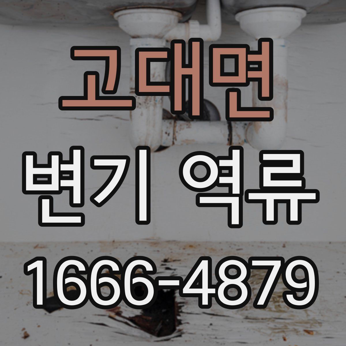 고대면 변기 역류