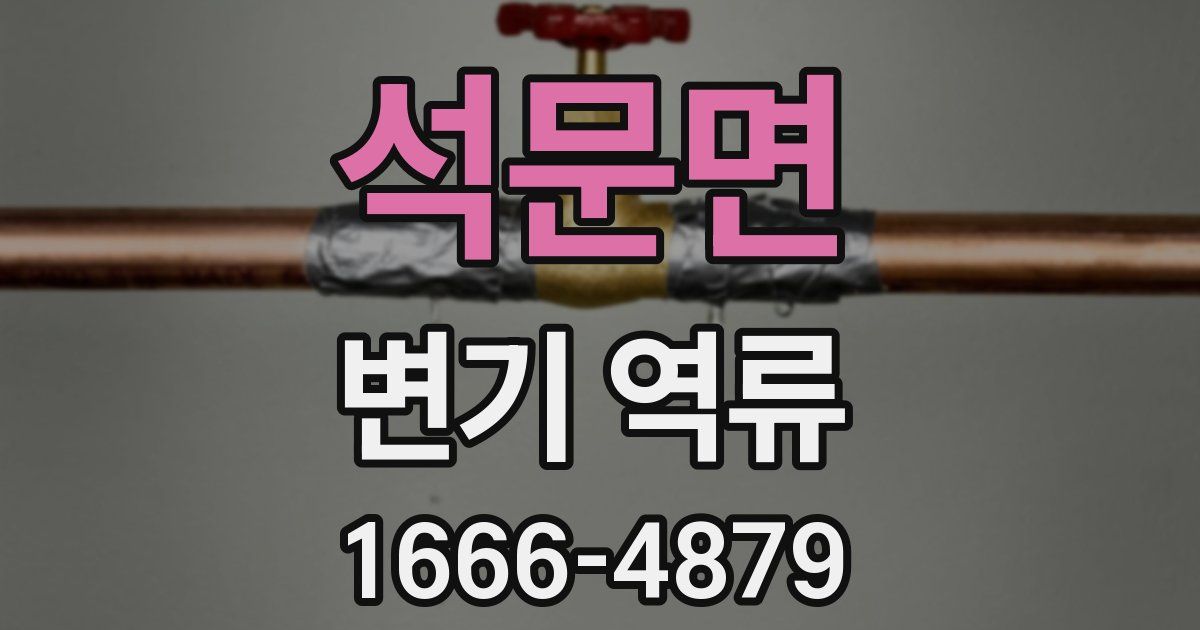 석문면 변기 역류