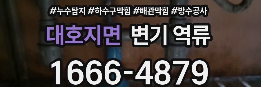 대호지면 변기 역류