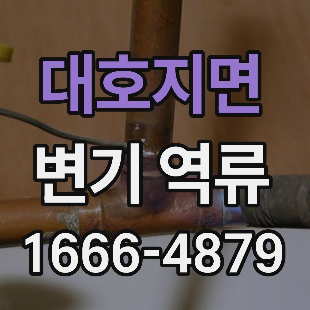 대호지면 변기 역류