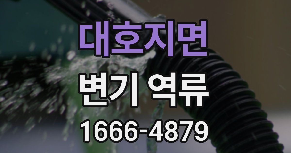 대호지면 변기 역류