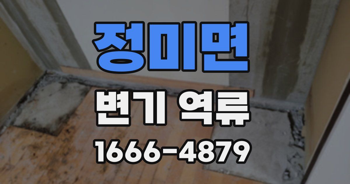 정미면 변기 역류